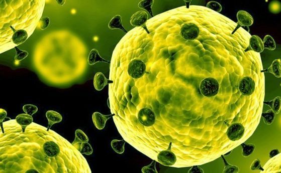 Коронавирус