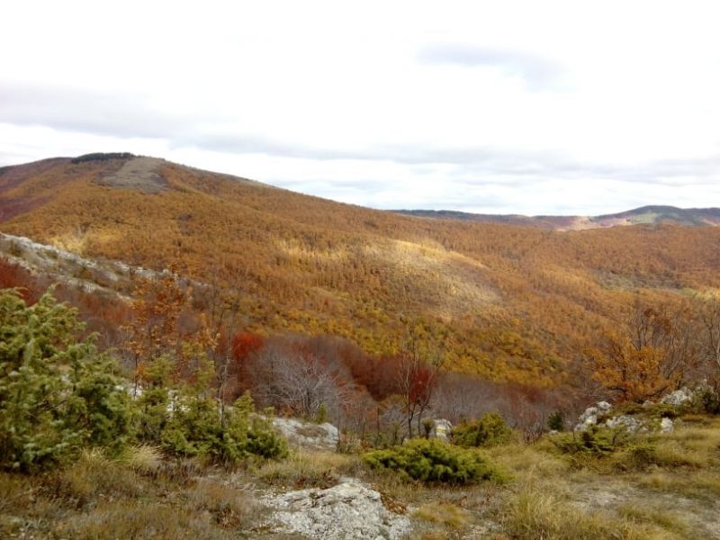 навършиха 40 години от създаването на Природен парк „Сините камъни