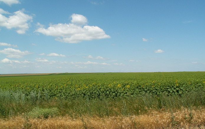 Слагат край на поземлената реституция