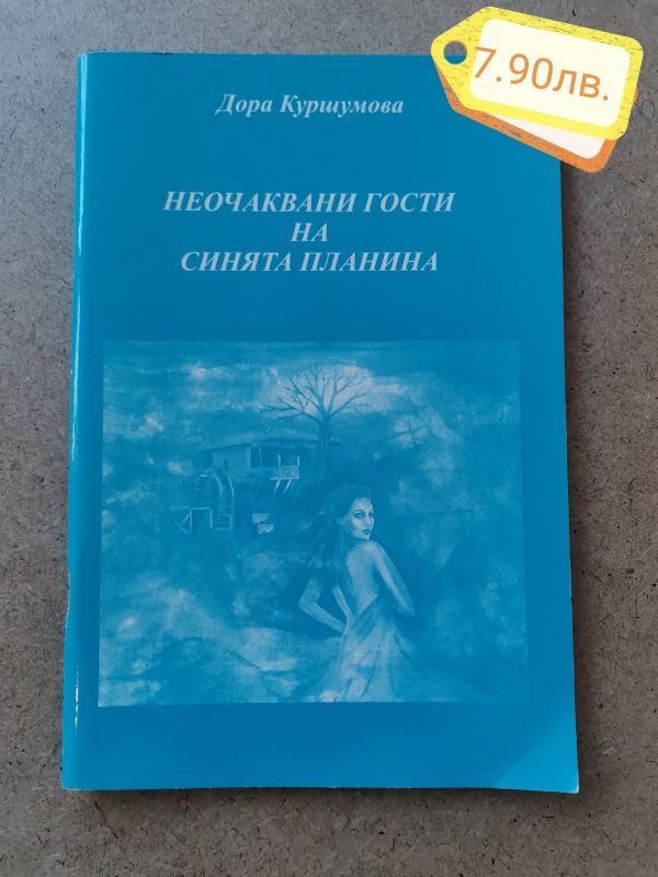 Коледна промоция на книги за Сливен