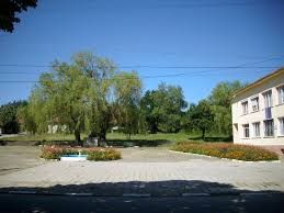 Съборът в село Стара река няма да се проведе тази година