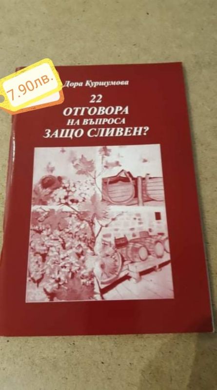 Коледна промоция на книги за Сливен