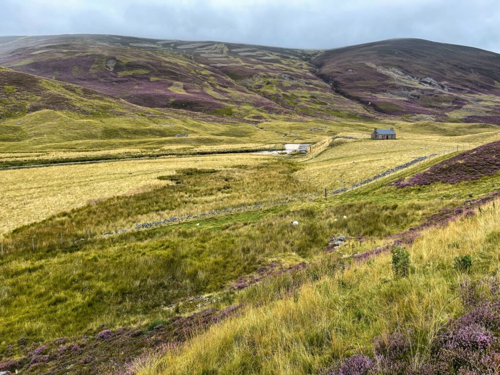 Изглед от района около замъка 