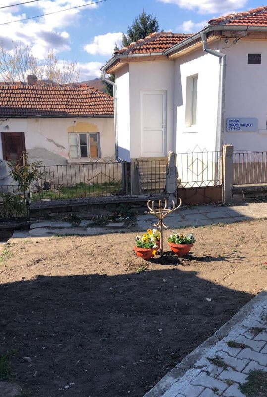 Нови коренчета виоли ще красят Котел за празника на града