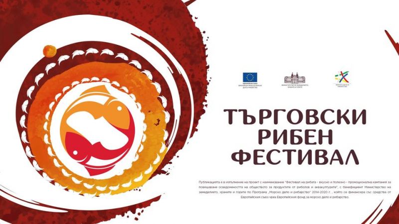Фестивал