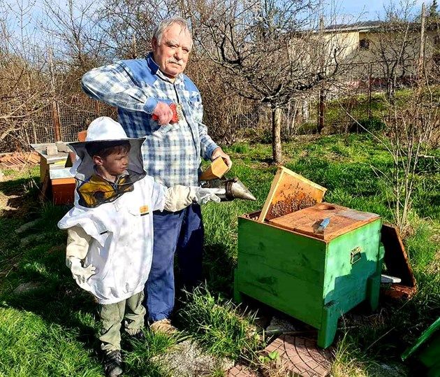 Георги Иванов се грижи за пчели с внука