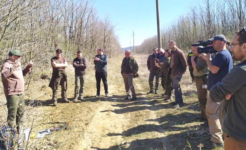 Обучават експерти в производство на висококачествена дървесина