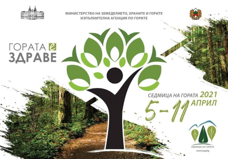 ПП 'Сини камъни'