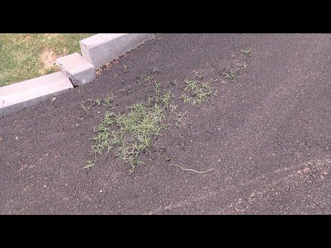 Некачествено асфалтиране на улици в Твърдица
