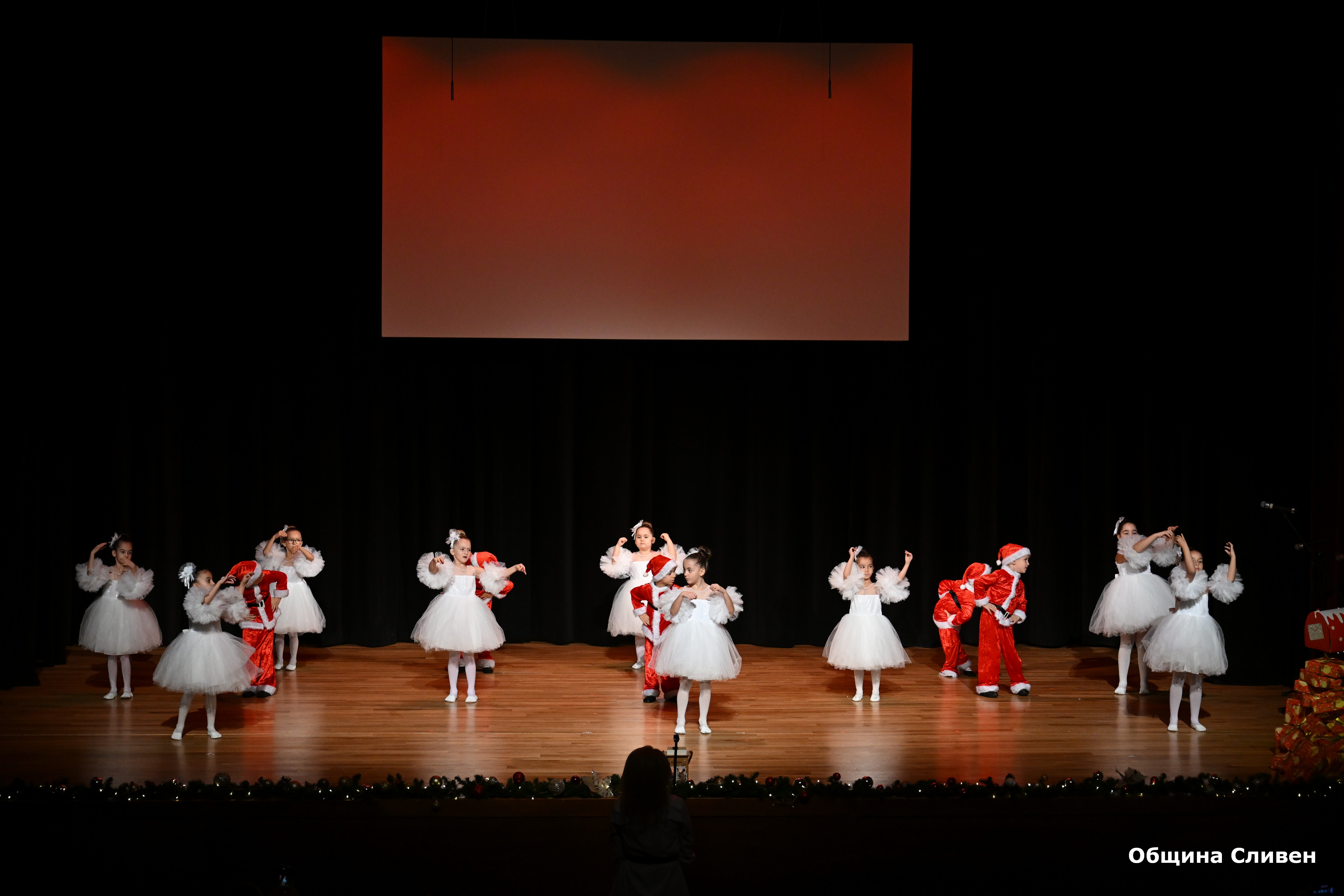 DSC_1917.jpg