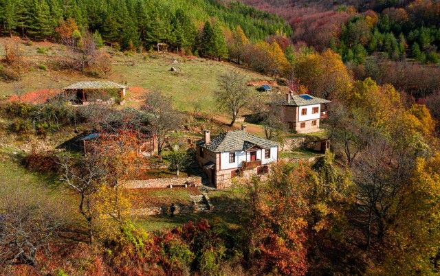 Британец с унищожителен коментар: Има ли по-прост народ от българския?