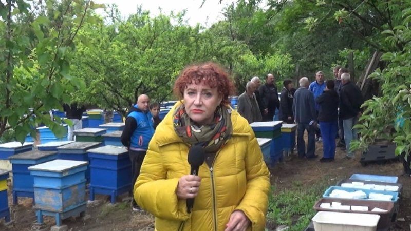 Ненаказаните отровители на пчелите