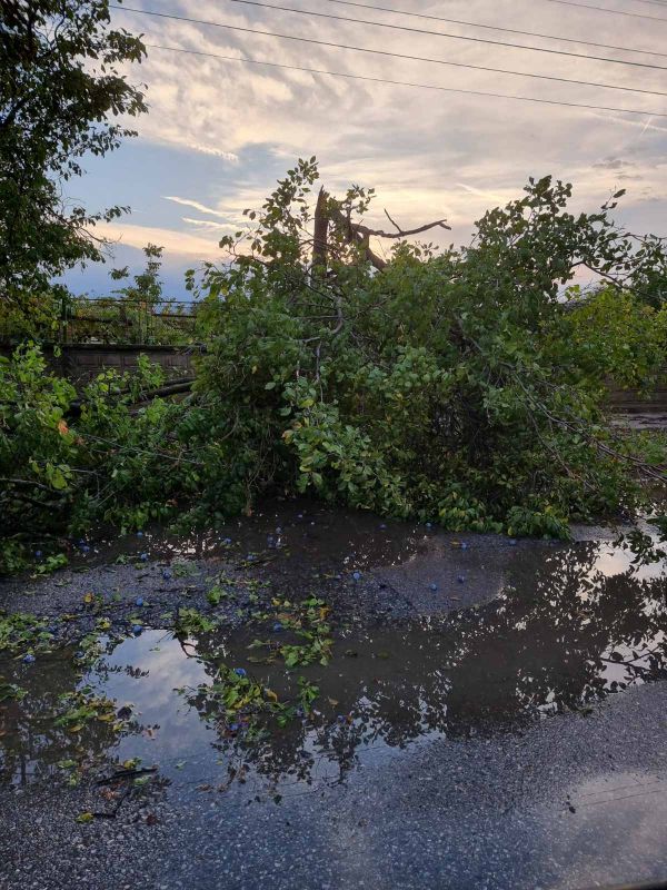 Поражения в село Жельо войвода от бурята снощи