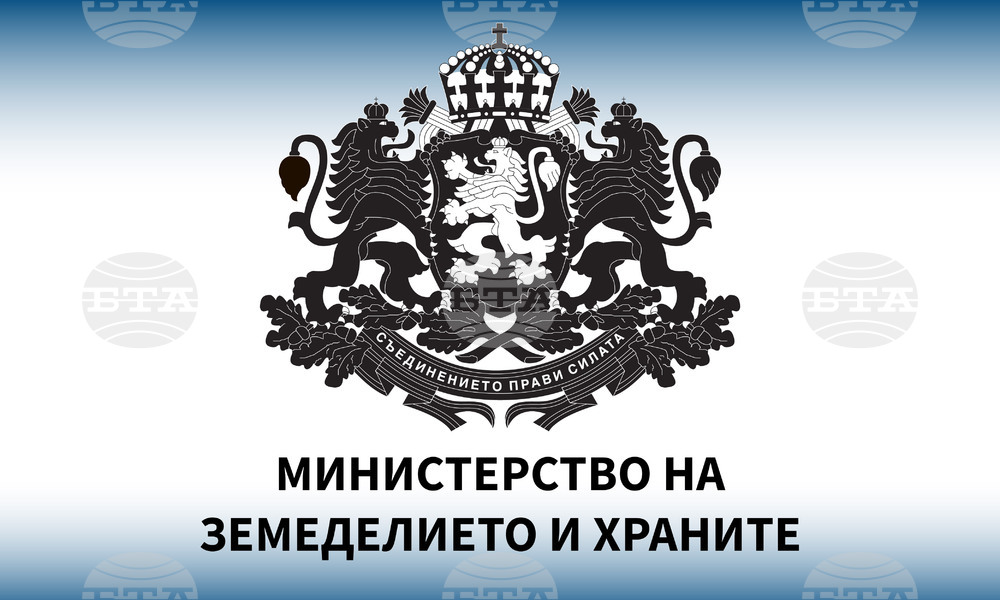 MZH logo.jpg