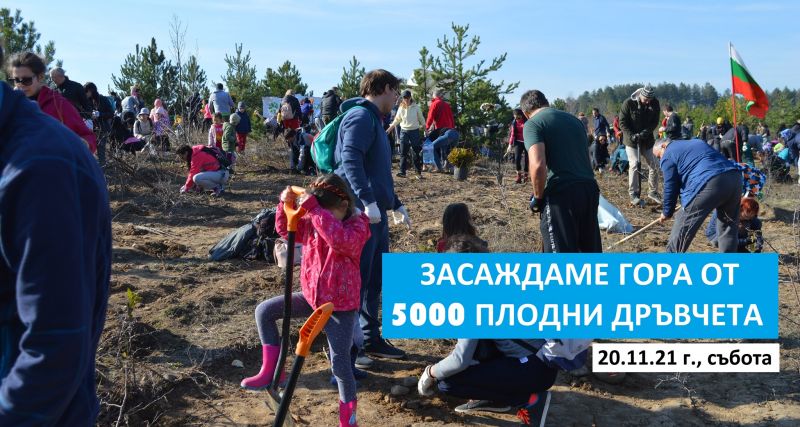 Инициатива на Гората.бг: Засаждат 5000 плодни дръвчета в района на село Камен