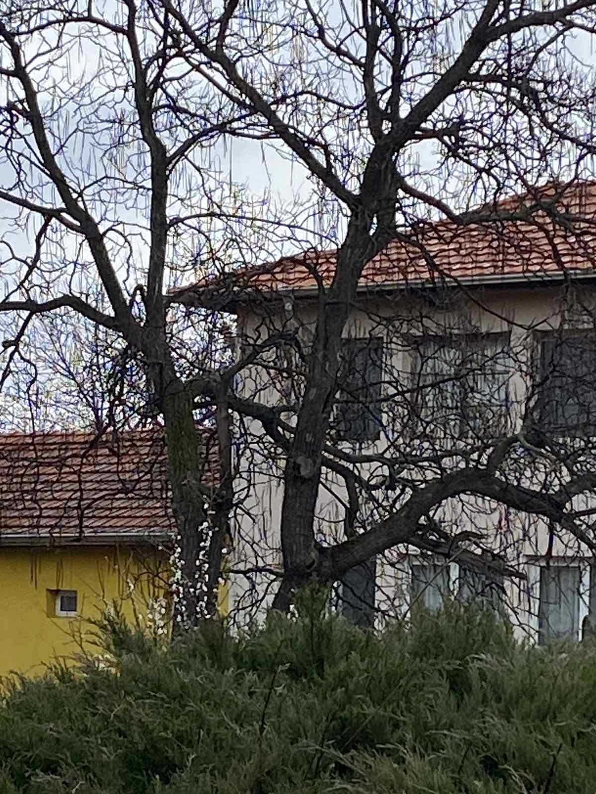 123.jpg