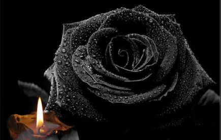 In memoriam