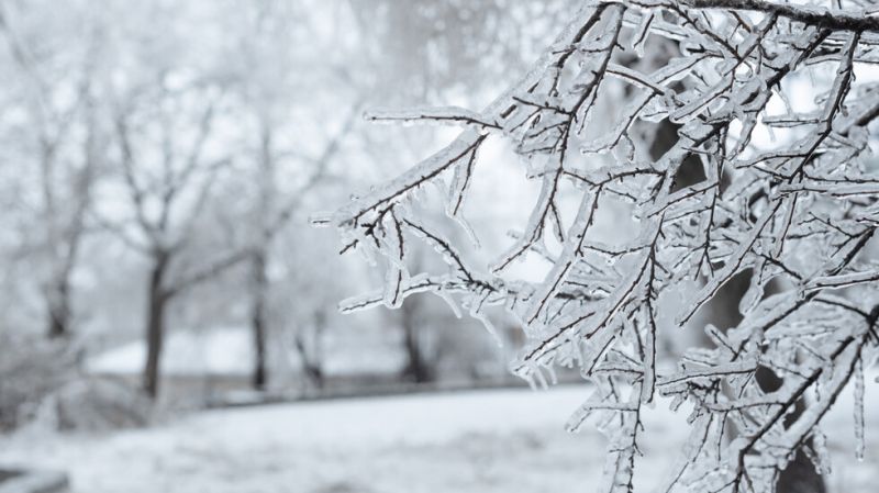 Сняг в края на февруари