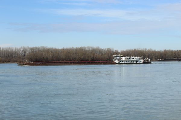 Издирват 70-годишен моряк, паднал зад борда във водите на Дунав