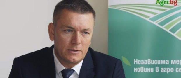 Георги Радев
