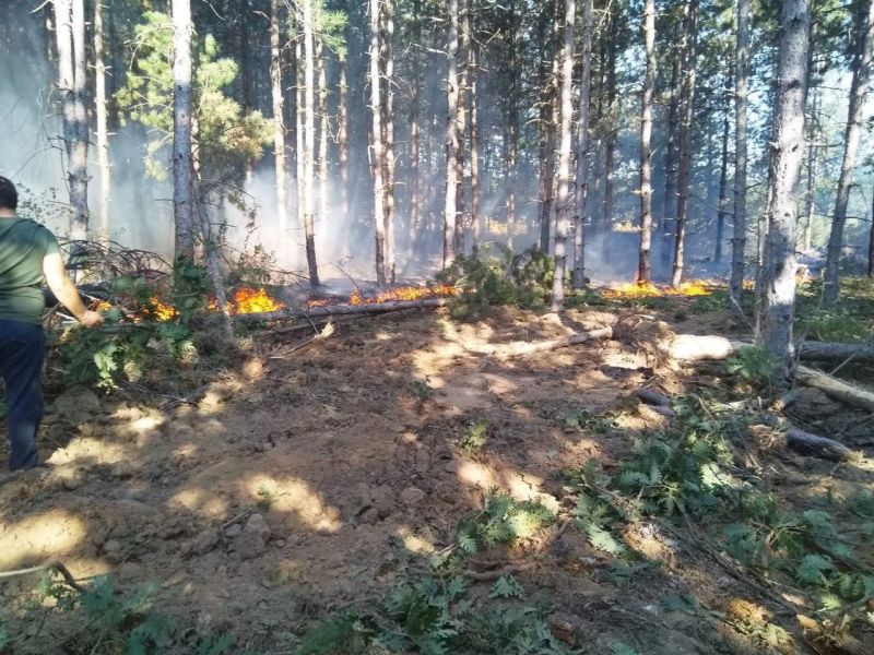 60 горски служители от ЮИДП-Сливен се включиха в борбата с големия пожар  край Свиленград