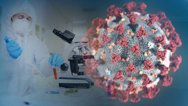 Коронавирус