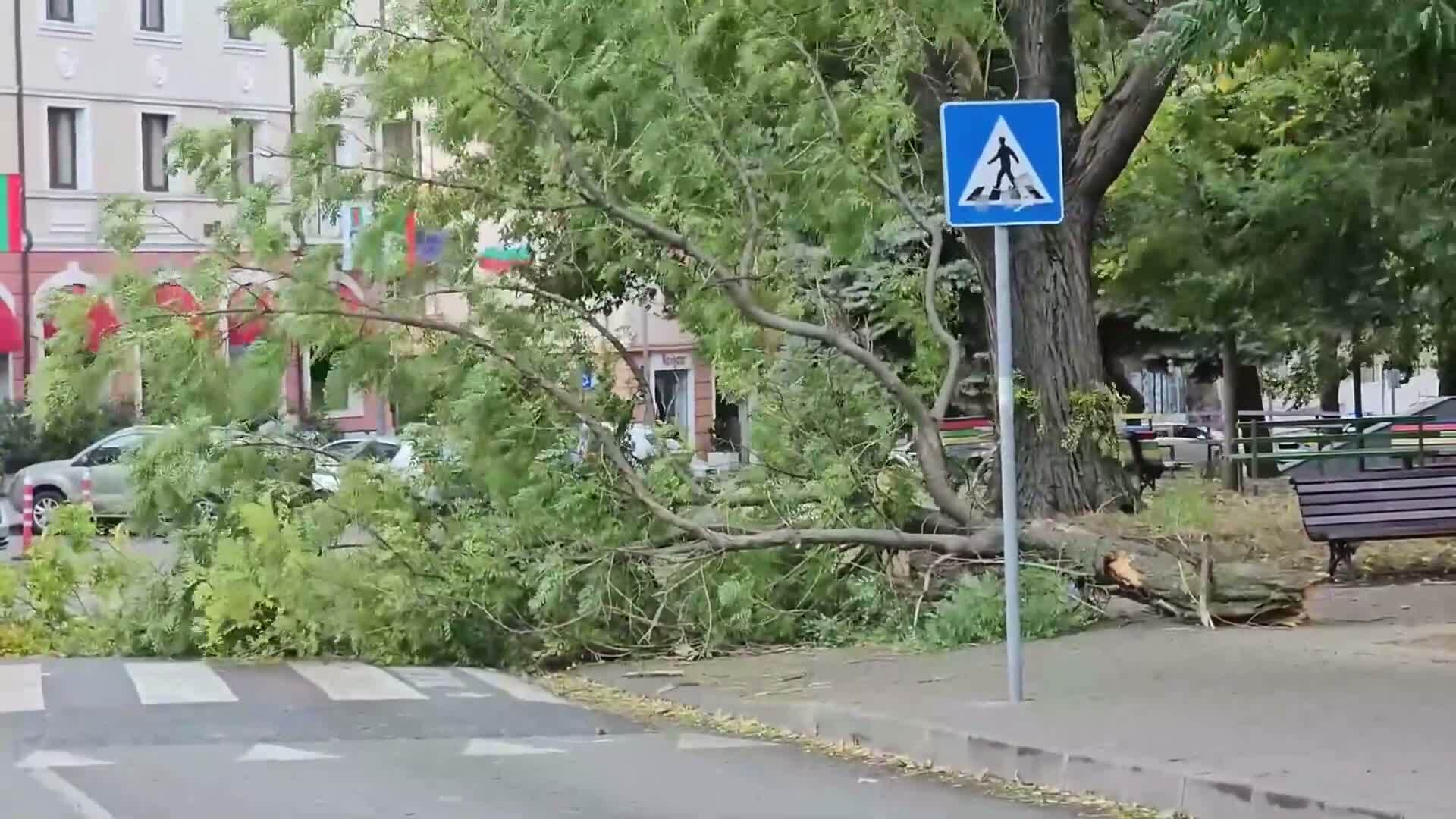 32.jpg