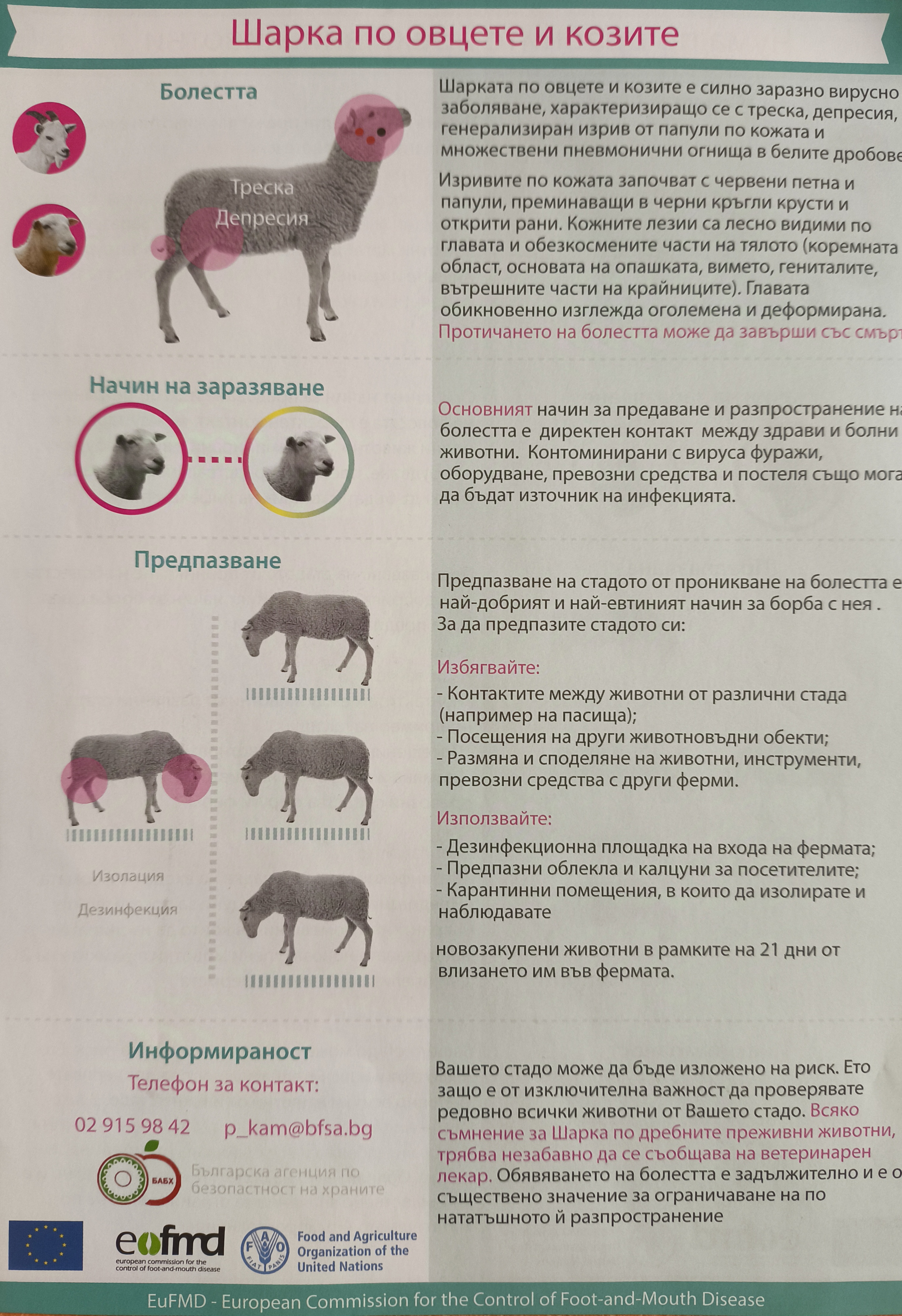 1729759156893 (1).jpg