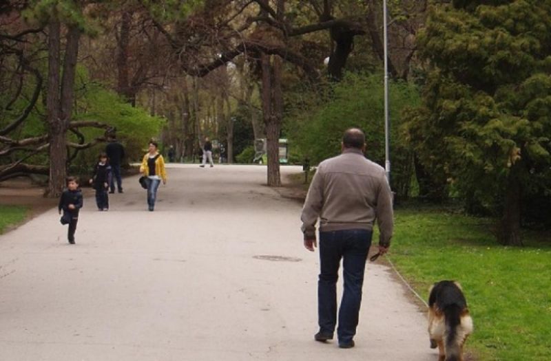Вписваме паспорта на кучето в домовата книга