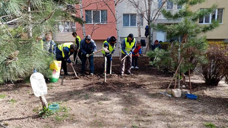 Продължава залесителната акция в различни части на Сливен