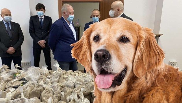 Ето го Танго, заловил 400 кг. хероин във Варна