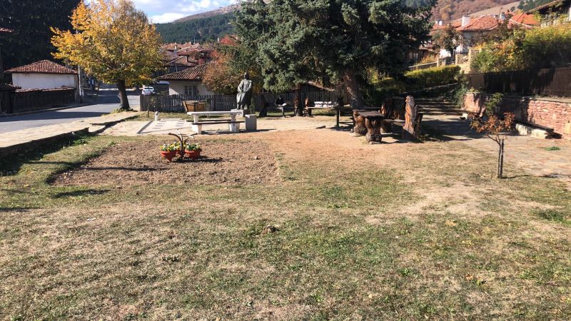Нови коренчета виоли ще красят Котел за празника на града