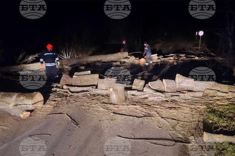 Бурният вятър в Сливен е съборил дървета край път I-6, които са разчистени