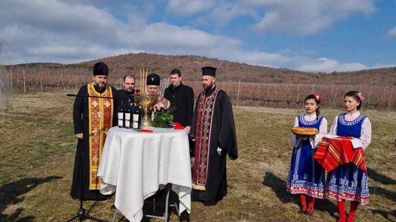 В изба „Едоардо Миролио“ зарязаха лозята, в област Сливен стопаните на 2930 хектара лозя посрещнаха празника