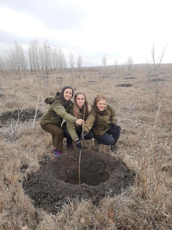 150 дръвчета от черна топола бяха залесени край Сливен