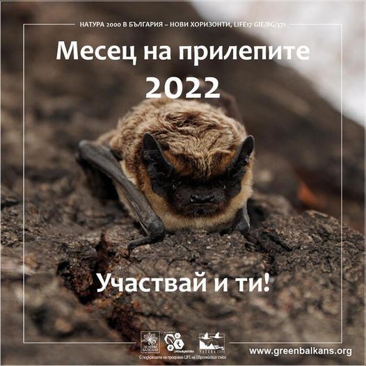 Арт ателиета и беседа в Дирекция на ПП...