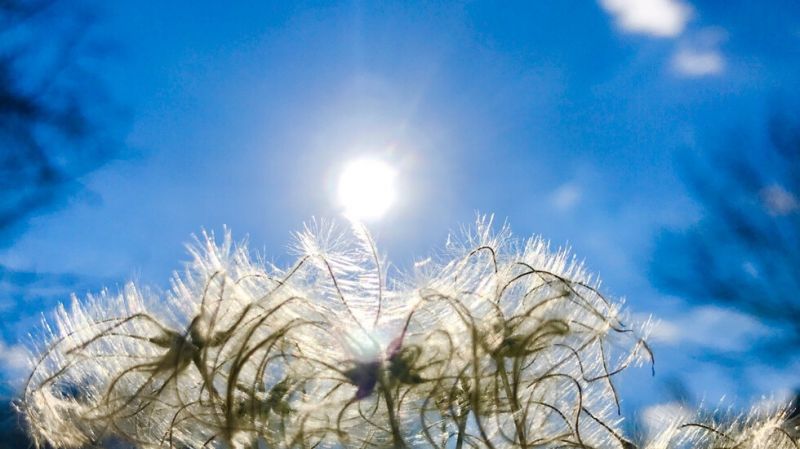 До 20 градуса днес и утре