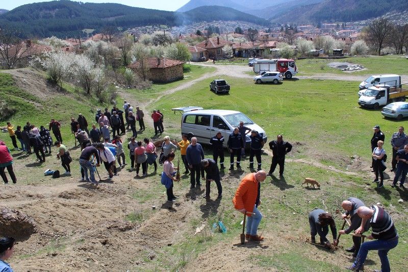 1600 акациеви фиданки бяха засадени в Котел в акцията „Дървета за планетата Земя. Нека ги засадим заедно“