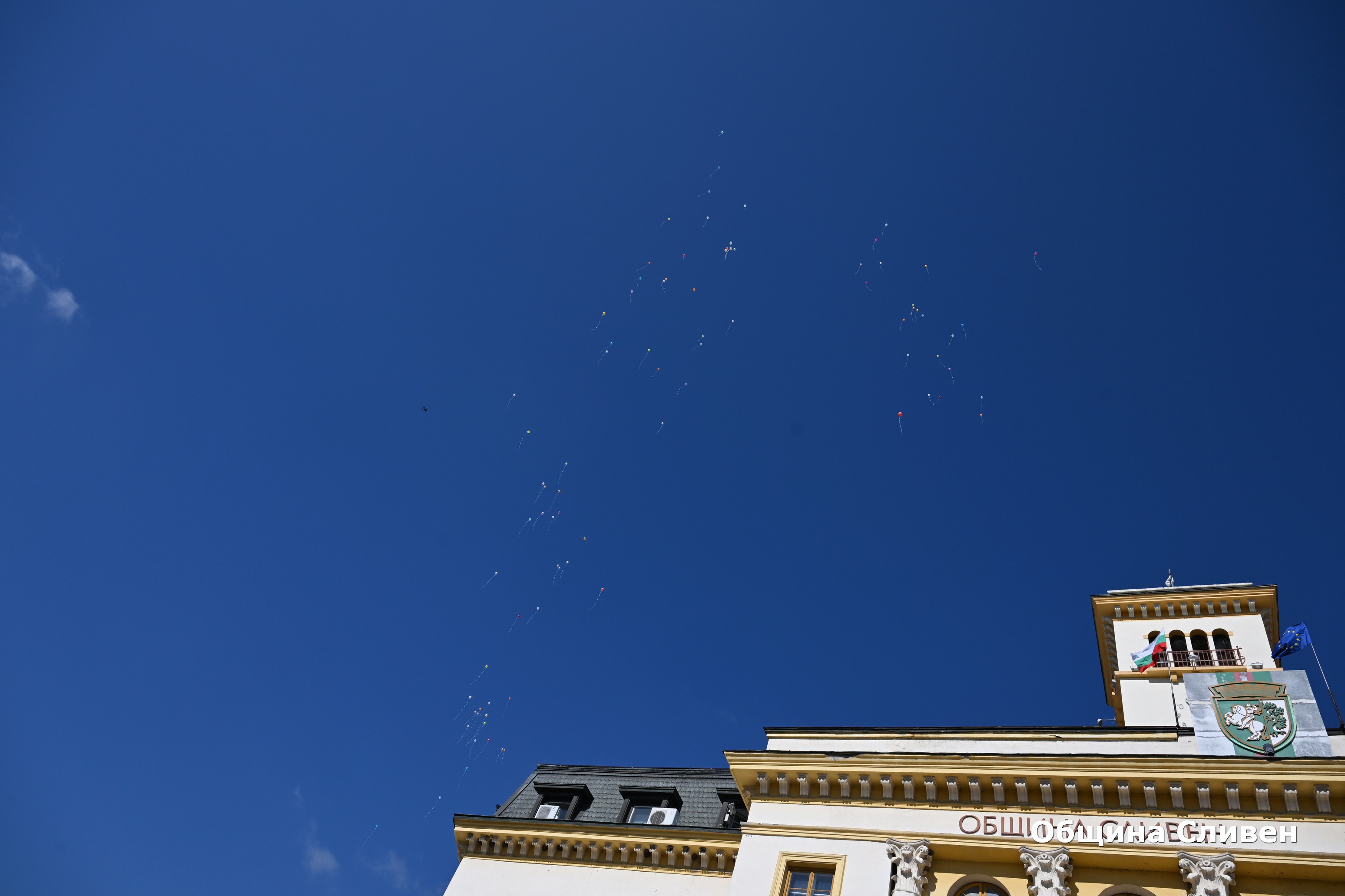 DSC_1331.jpg