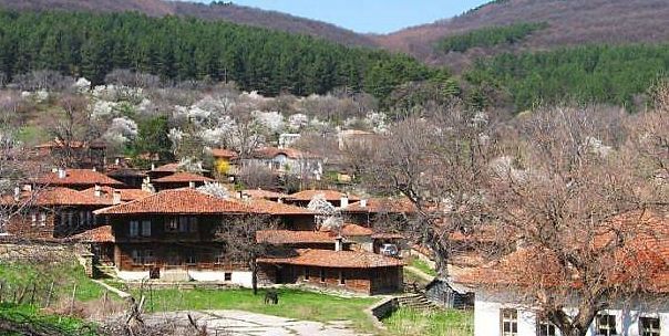село Медвен