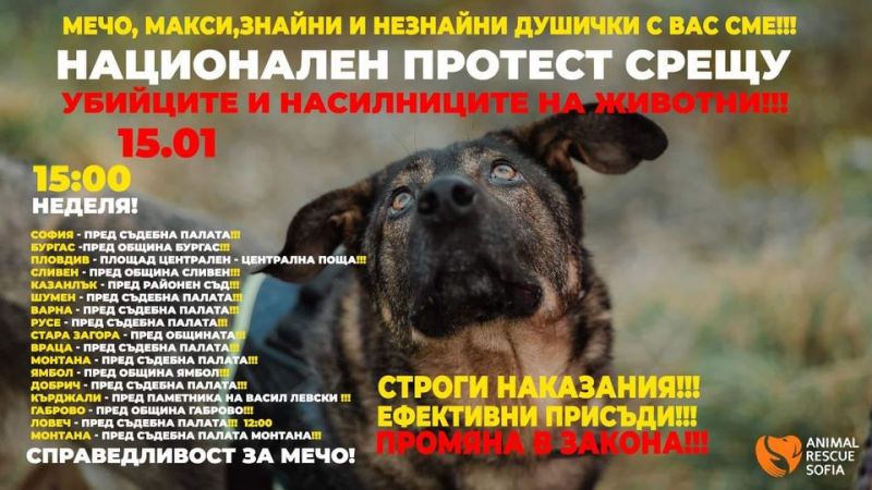 Национален протест срещу убийците и насилници на животни в Сливен