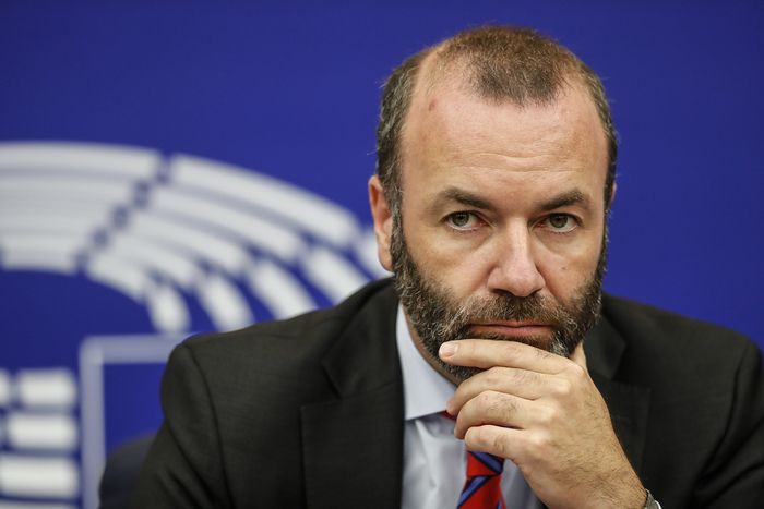 Манфрев Вебер