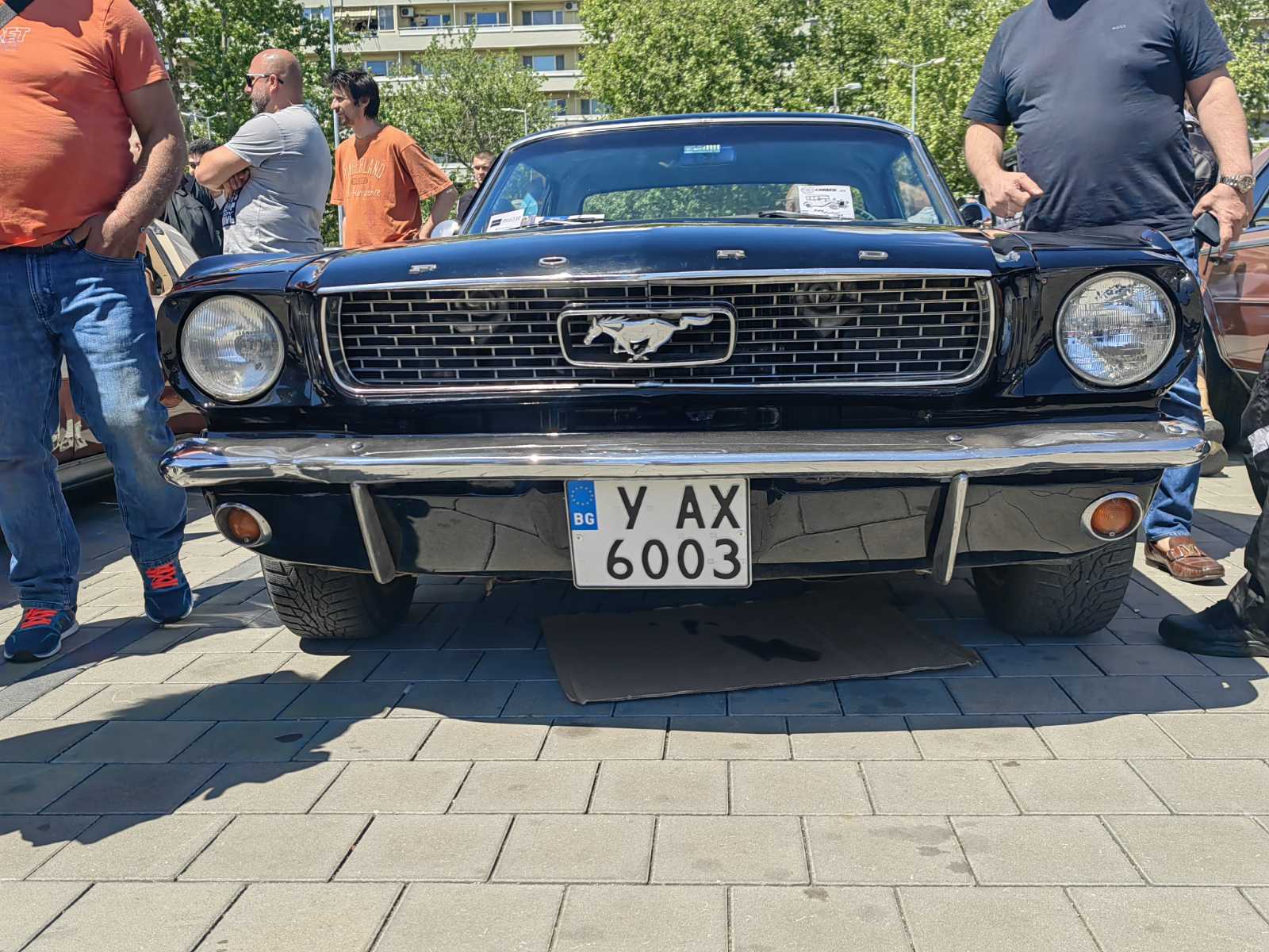1714223535549.jpg
